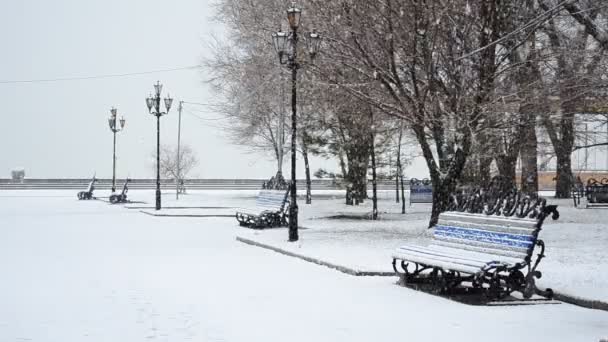 Winter Park Neve Parque — Vídeo de Stock