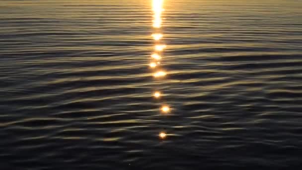 Soleil Mer Ondulations Sur Eau — Video