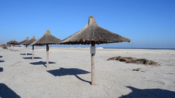 Praia Mar Guarda Chuvas Uma Praia Inverno — Vídeo de Stock