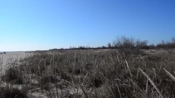 Sand Und Himmel Sand Und Büsche — Stockvideo