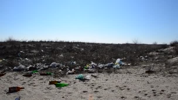 Lixo Numa Praia Arbustos Costa Marítima — Vídeo de Stock