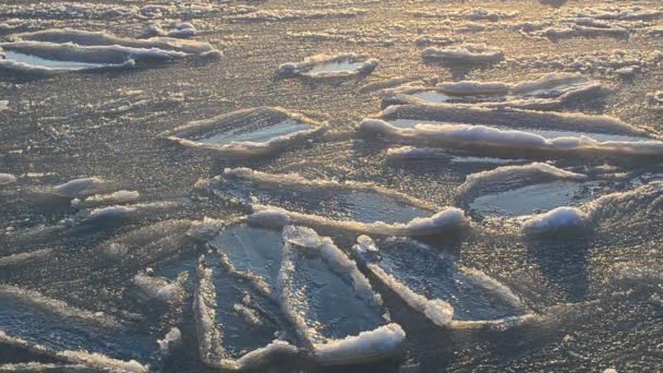 Плавающие Льдины Льды Льды — стоковое видео