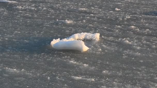 Πάγος Και Πάγος Επιπλέουν Ηλιοβασίλεμα Στην Παγωμένη Θάλασσα — Αρχείο Βίντεο