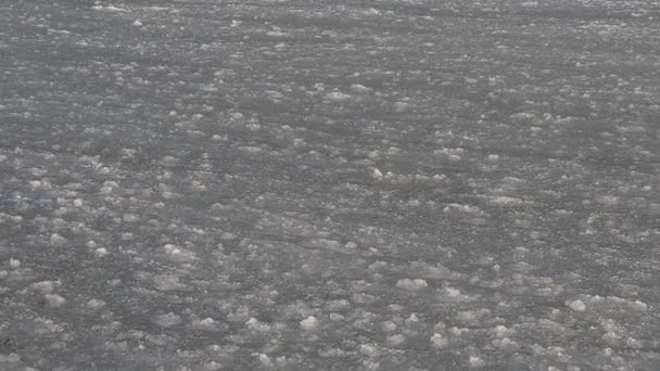 Πάγος Επιπλέει Στο Νερό Παγωμένη Θάλασσα — Αρχείο Βίντεο