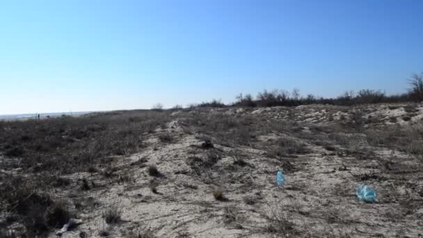 Стрельба Движении Песок Море — стоковое видео