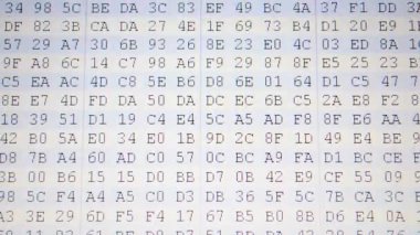 Bir kod için programın çalışması. Program kodu. Ekranda onaltılık program kodu. Hareket eden ikili kod numaralarının canlandırılmış arkaplanı.