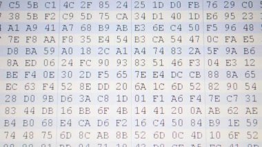Program kodu. Monitörde kod, ikili sistem. Ekranda onaltılık program kodu. Hareket eden ikili kod numaralarının canlandırılmış arkaplanı.