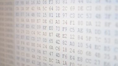 Kod ve arkaplan, ikili sistem. Kod şeklinde bir dosya. Ekranda onaltılık program kodu. Hareket eden ikili kod numaralarının canlandırılmış arkaplanı.