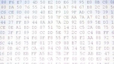 Kod ikili değerinin hareketi. Ekranda onaltılık program kodu. Hareket eden ikili kod numaralarının canlandırılmış arkaplanı.