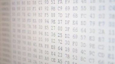 Program kodu. Ekranda onaltılık program kodu. Hareket eden ikili kod numaralarının canlandırılmış arkaplanı.