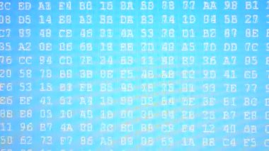 İkili kod ateşleme. Mavi ikili kod. Ekranda onaltılık program kodu. Hareket eden ikili kod numaralarının canlandırılmış arkaplanı.