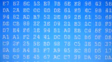 Rakamlar ve harfler. Ekranda onaltılık program kodu. Hareket eden ikili kod numaralarının canlandırılmış arkaplanı.