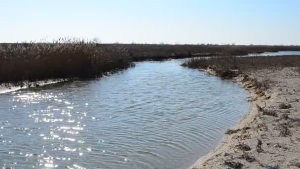 Fusillade Tresse Sable Dans Mer — Video