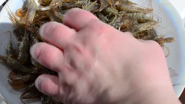 Tir Une Crevette Crevettes Sur Une Assiette — Video