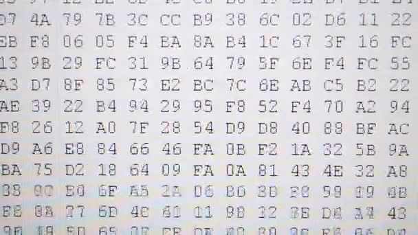 Information Form Kod Arbetet Med Programmet För Kod Hexadecimal Programkod — Stockvideo