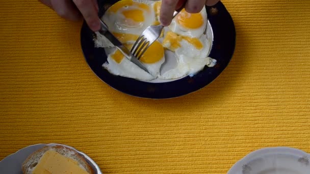 Fried Eggs Breakfast Fried Eggs — Stock Video
