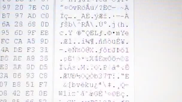 文件被放出来了 屏幕上的十六进制程序代码 移动二进制代码的动画背景 以表格形式出现的代码二进制的移动 — 图库视频影像