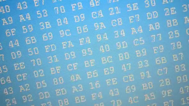 Computerbildschirm Code Auf Blauem Hintergrund Binär Hexadezimaler Programmcode Auf Dem — Stockvideo