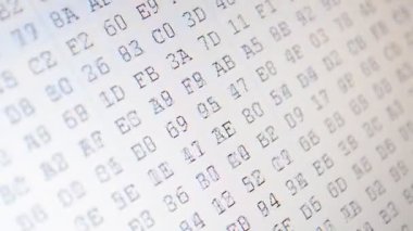 Programın çalışması. Ekranda figürler hareket ediyor. Ekranda onaltılık program kodu. Hareket eden ikili kod numaralarının canlandırılmış arkaplanı.