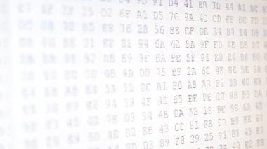 İkili kod. Ekranda onaltılık program kodu. Hareket eden ikili kod numaralarının canlandırılmış arkaplanı.