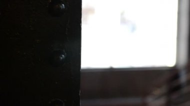 Tavan ve lambalar. Restoranın içi.