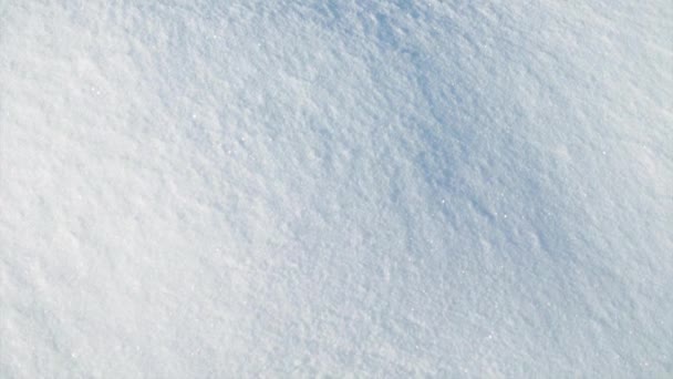 Strzelanie Śniegiem Zimą Strzelanina Styczniu Tło Postaci Śniegu — Wideo stockowe