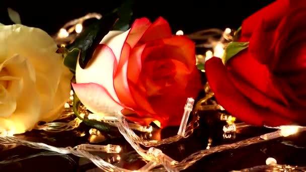 明るいガーランドの背景を背景にバラ — ストック動画