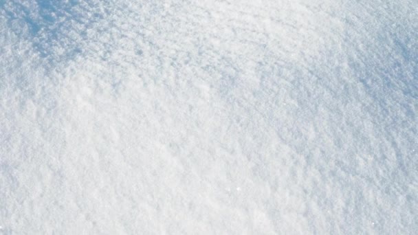 Tiro Neve Inverno Filmar Janeiro Fundo Forma Neve — Vídeo de Stock