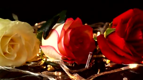 Τριαντάφυλλο Στο Φόντο Των Φωτεινών Γιρλάντες — Αρχείο Βίντεο