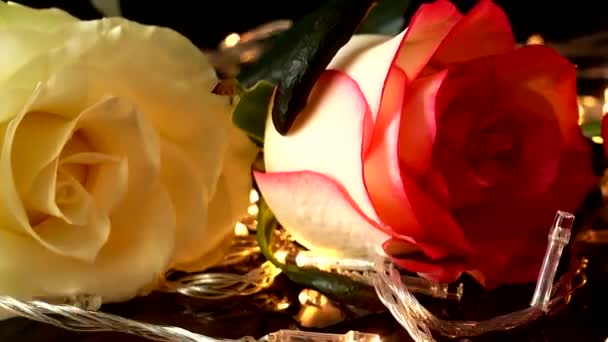 明亮的花环衬托下的玫瑰 — 图库视频影像