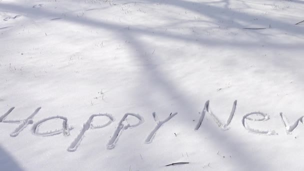 Inscripción Feliz Año Nuevo Nieve Disparos Invierno — Vídeo de stock