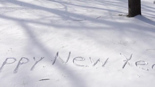 Iscrizione Felice Anno Nuovo Sulla Neve Sparatoria Nell Inverno — Video Stock