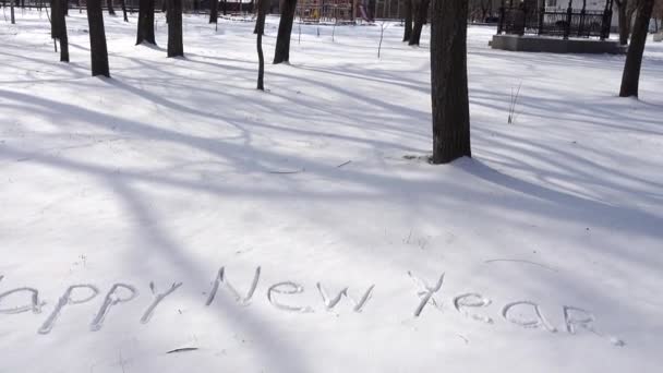 Iscrizione Felice Anno Nuovo Sulla Neve Sparatoria Nell Inverno — Video Stock