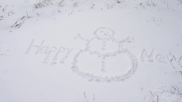 雪の上で幸せな新年の碑文 冬の射撃 — ストック動画