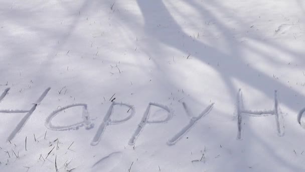 Надпись Счастливых Праздников Снегу Стрельба Зимой — стоковое видео