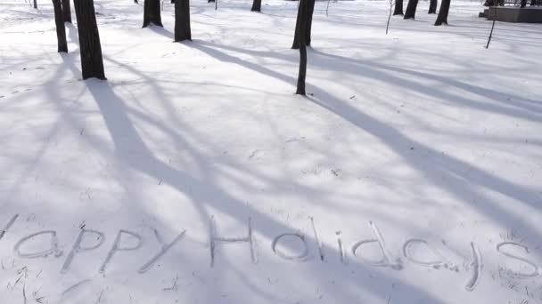 Inscripción Felices Fiestas Nieve Disparos Invierno — Vídeos de Stock