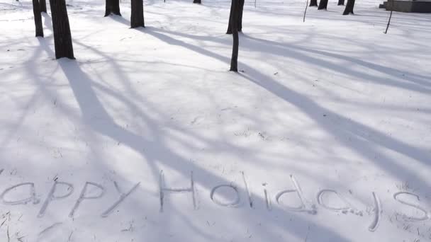 Επιγραφή Των Ευτυχισμένων Διακοπών Στο Χιόνι Σκοποβολή Χειμώνα — Αρχείο Βίντεο