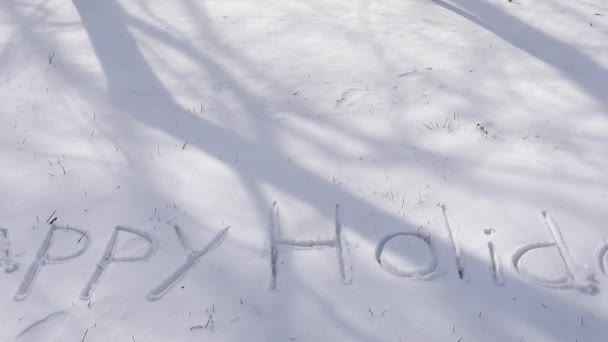 Επιγραφή Των Ευτυχισμένων Διακοπών Στο Χιόνι Σκοποβολή Χειμώνα — Αρχείο Βίντεο
