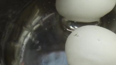 Yumurtalar tavada pişiyor..