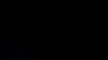 Bozuk paralar siyah arka plana düşer. Yavaş çekim.