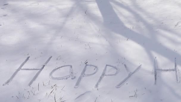 Надпись Счастливых Праздников Снегу Стрельба Зимой — стоковое видео
