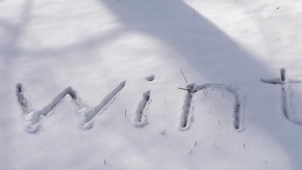 Inscripción Invierno Nieve Disparos Invierno — Vídeo de stock