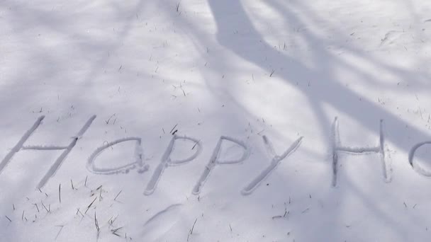 Inscripción Felices Fiestas Nieve Disparos Invierno — Vídeo de stock