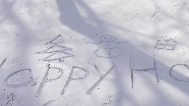 雪の上で幸せな休日の碑文 冬の射撃 — ストック動画