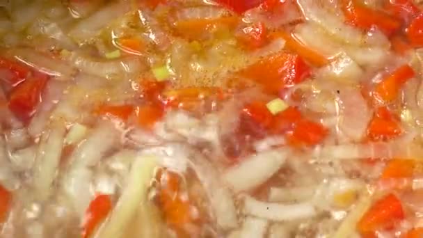 鍋で野菜スープ料理 — ストック動画