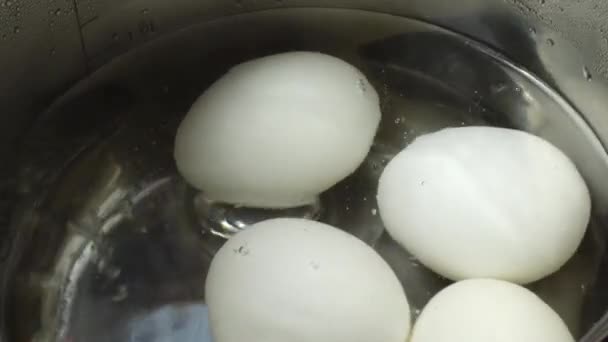 Αυγά Μαγειρεύονται Ένα Τηγάνι — Αρχείο Βίντεο