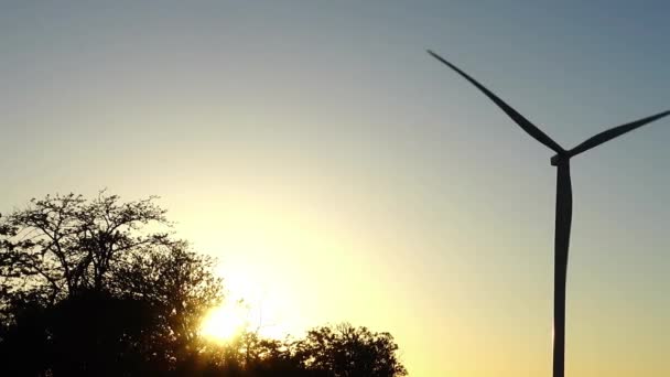Ветряная Мельница Ветряная Электростанция Ветряная Турбина — стоковое видео