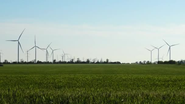 Moinho Vento Fazenda Eólica Turbina Eólica — Vídeo de Stock