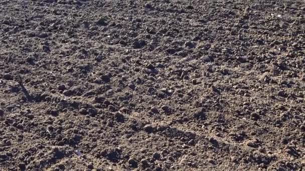 Het Landbouwveld Schieten Van Omgeploegde Aarde Schieten Het Platteland — Stockvideo