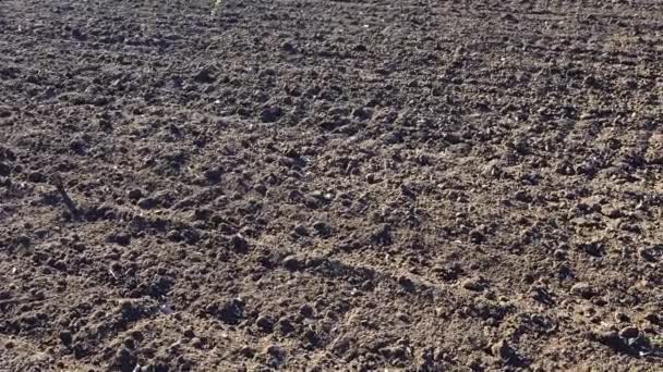 Le champ agricole, le tir de la terre labourée. Tournage dans les zones rurales .